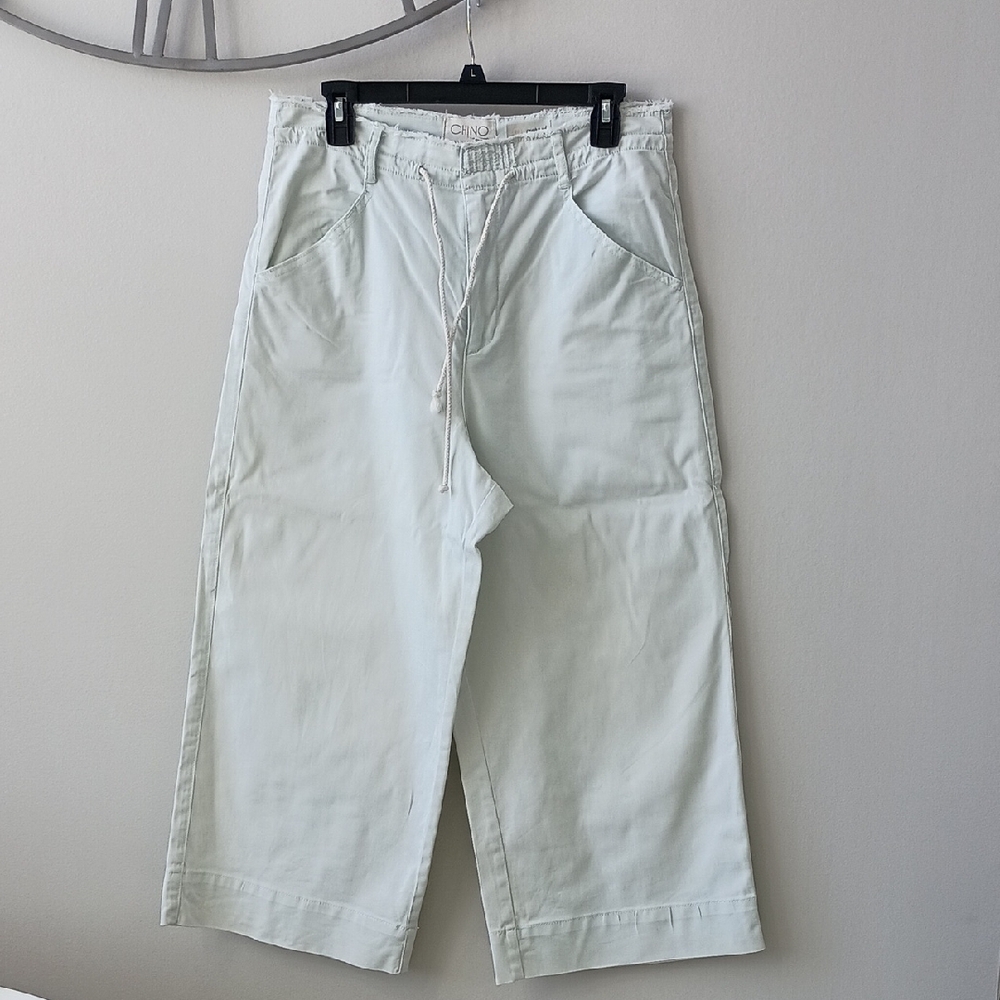 Anthropologie Chinos